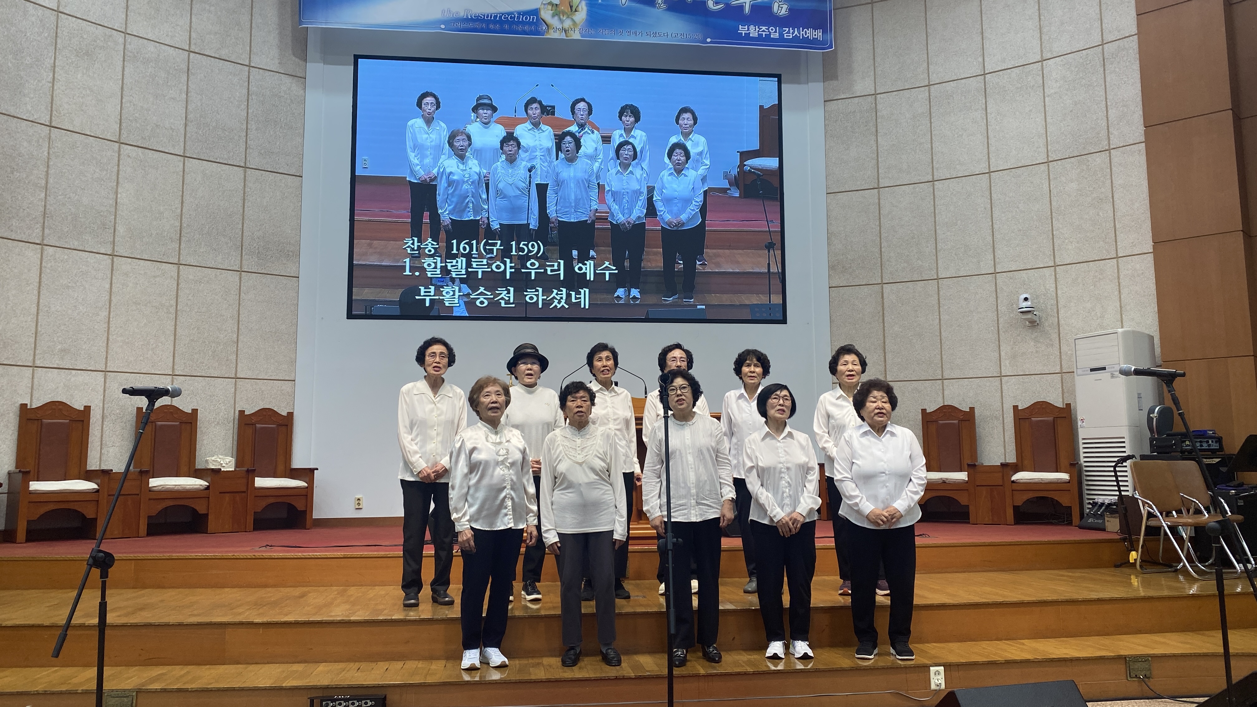 IMG_3397.jpeg